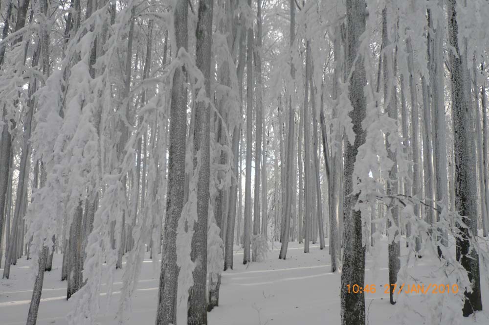 winterwanderung_cerchov_gross_18.jpg