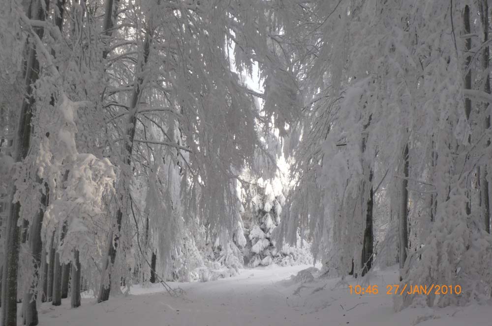 winterwanderung_cerchov_gross_20.jpg